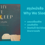 Why we sleep